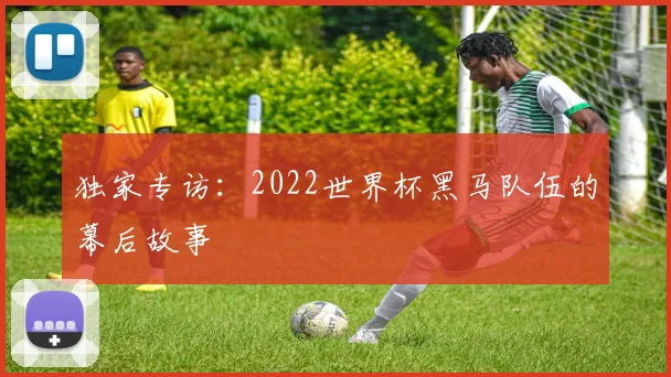 独家专访：2022世界杯黑马队伍的幕后故事