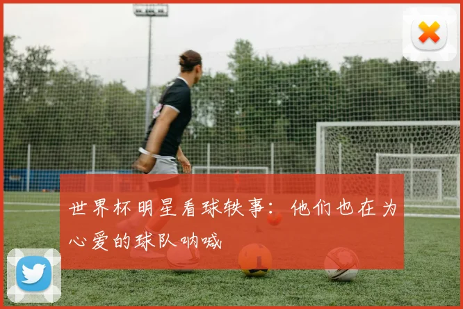 世界杯明星看球轶事：他们也在为心爱的球队呐喊
