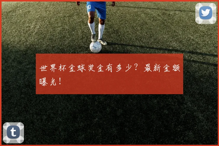 世界杯金球奖金有多少？最新金额曝光！