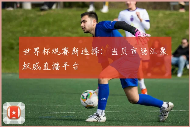 世界杯观赛新选择：当贝市场汇聚权威直播平台