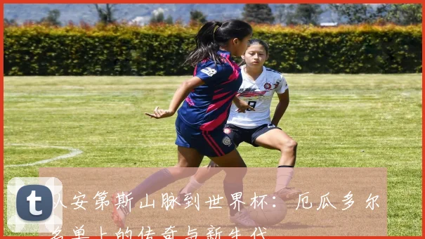 从安第斯山脉到世界杯：厄瓜多尔名单上的传奇与新生代