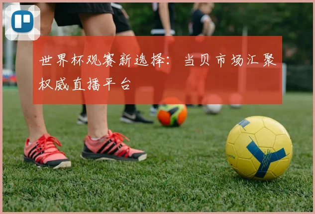 世界杯观赛新选择:当贝市场汇聚权威直播平台