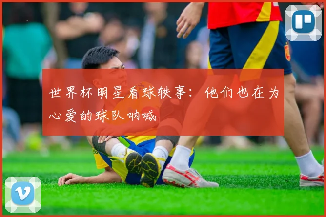 世界杯明星看球轶事:他们也在为心爱的球队呐喊