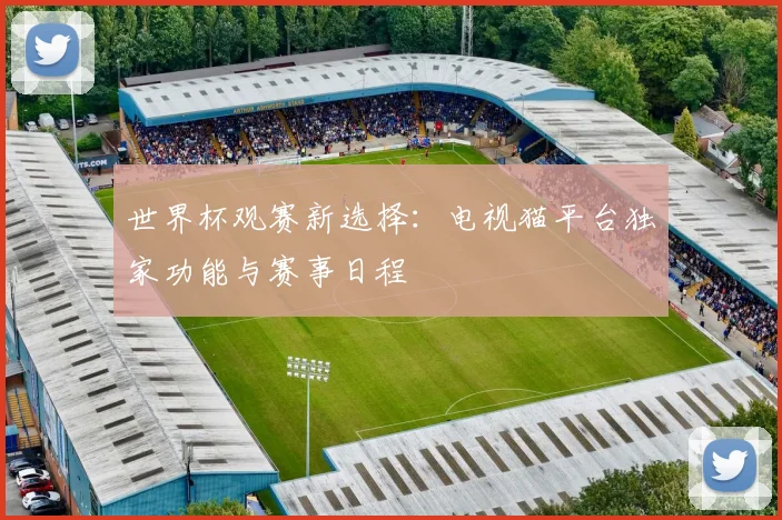 世界杯观赛新选择：电视猫平台独家功能与赛事日程